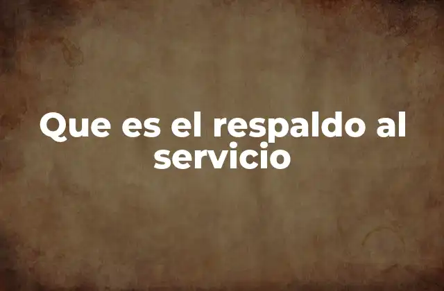 Que es el Respaldo Al Servicio