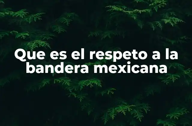 La importancia de la bandera en la identidad nacional