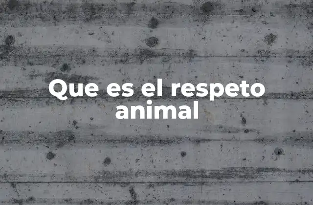 Que es el Respeto Animal