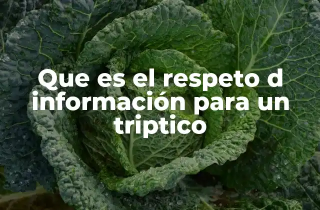Que es el Respeto D Información para un Triptico