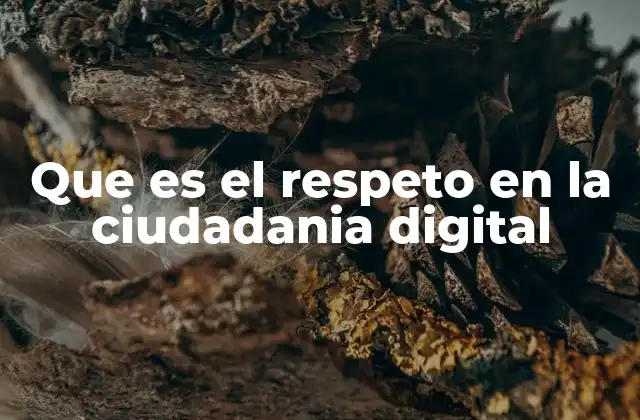 Que es el Respeto en la Ciudadania Digital