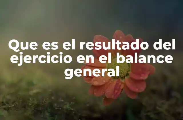 Que es el Resultado Del Ejercicio en el Balance General