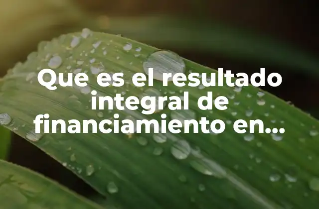 Que es el Resultado Integral de Financiamiento en Contabilidad