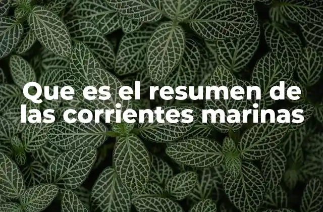 Las corrientes marinas como motores del sistema terrestre