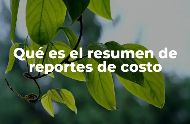 Qué es el Resumen de Reportes de Costo