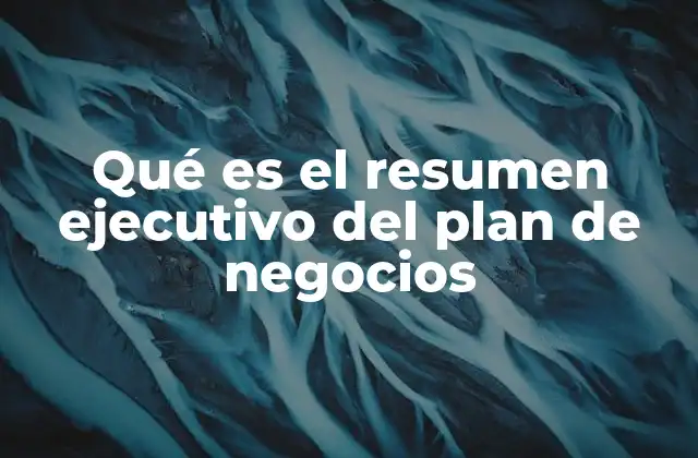 Qué es el Resumen Ejecutivo Del Plan de Negocios