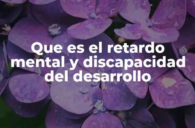 Que es el Retardo Mental y Discapacidad Del Desarrollo