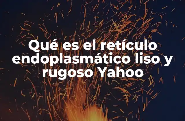 Qué es el Retículo Endoplasmático Liso y Rugoso Yahoo