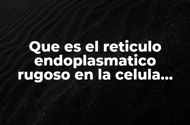Que es el Reticulo Endoplasmatico Rugoso en la Celula Vegetal