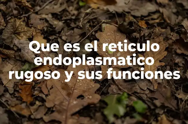 Que es el Reticulo Endoplasmatico Rugoso y Sus Funciones