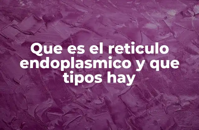 Que es el Reticulo Endoplasmico y que Tipos Hay