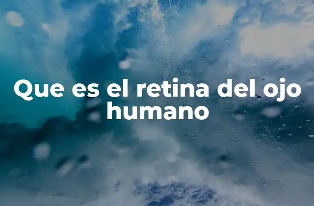 Que es el Retina Del Ojo Humano