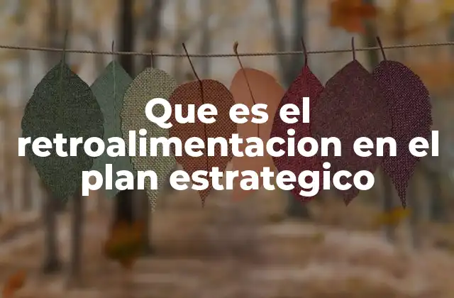 Que es el Retroalimentacion en el Plan Estrategico