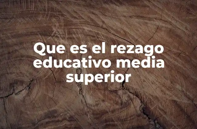 Factores que influyen en el rezago educativo