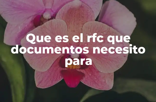 Que es el Rfc que Documentos Necesito para