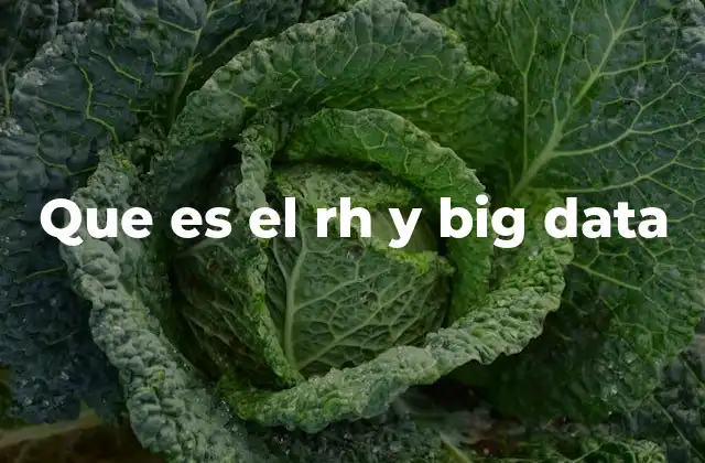 Que es el Rh y Big Data