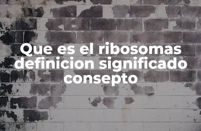 Que es el Ribosomas Definicion Significado Consepto