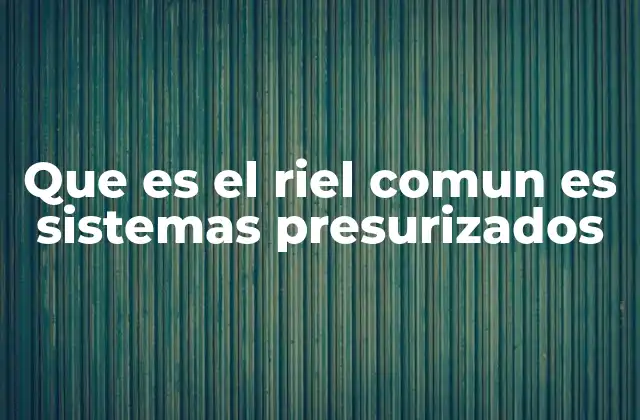 Que es el Riel Comun es Sistemas Presurizados