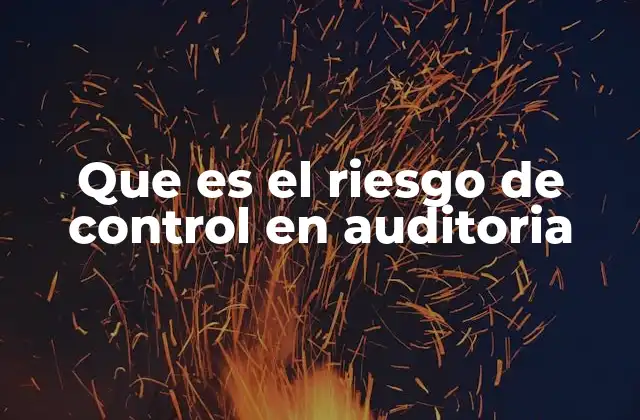 Que es el Riesgo de Control en Auditoria