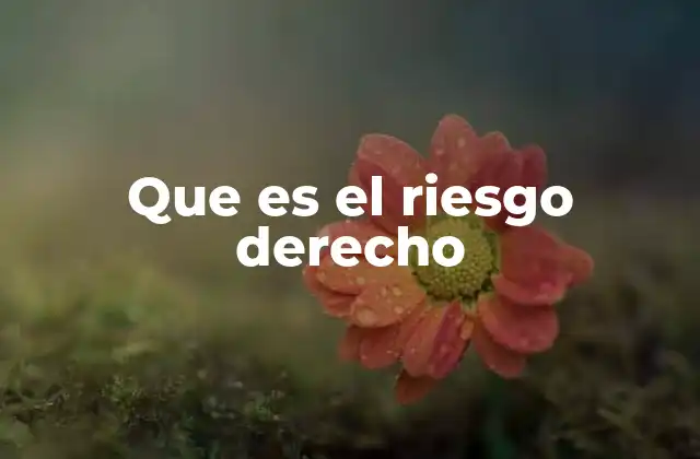 Que es el Riesgo Derecho