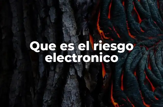 Que es el Riesgo Electronico