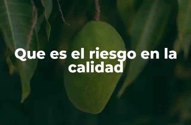 Que es el Riesgo en la Calidad