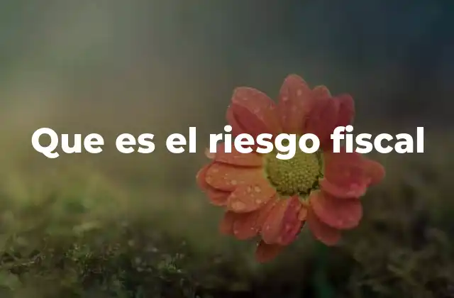 Que es el Riesgo Fiscal