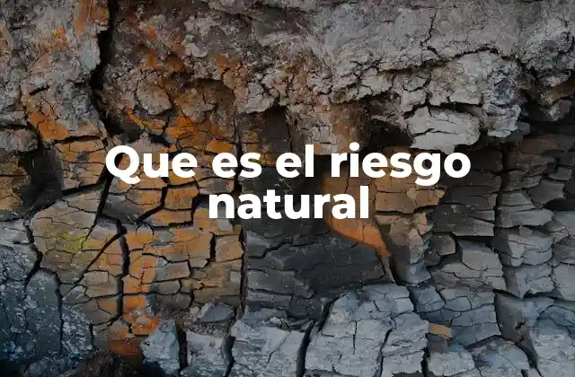 Que es el Riesgo Natural
