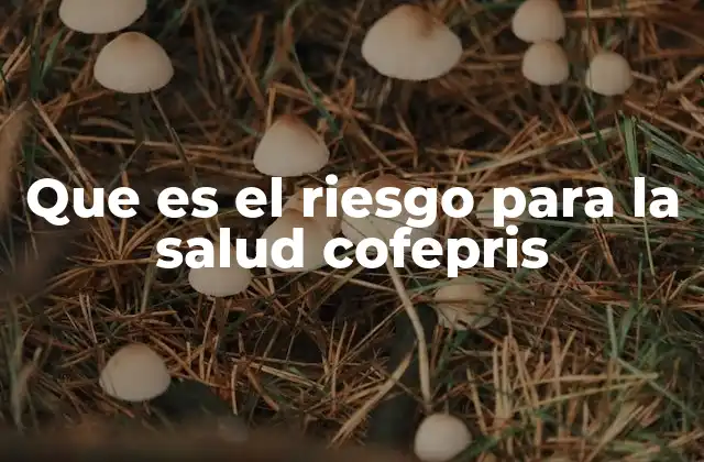 Que es el Riesgo para la Salud Cofepris