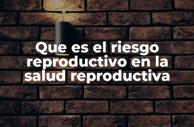 Que es el Riesgo Reproductivo en la Salud Reproductiva