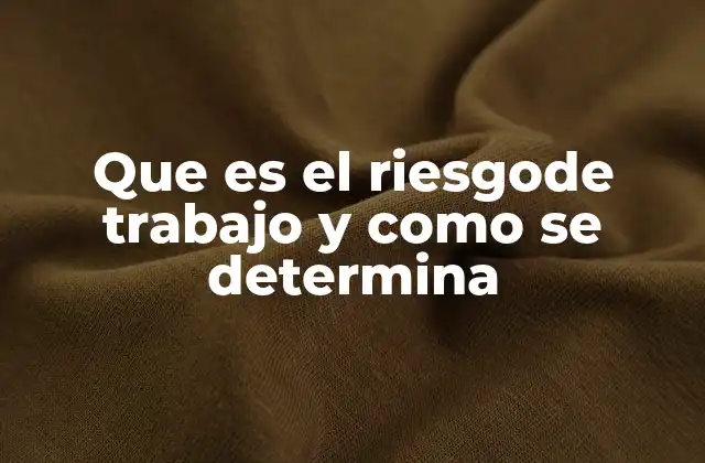 Que es el Riesgode Trabajo y como Se Determina