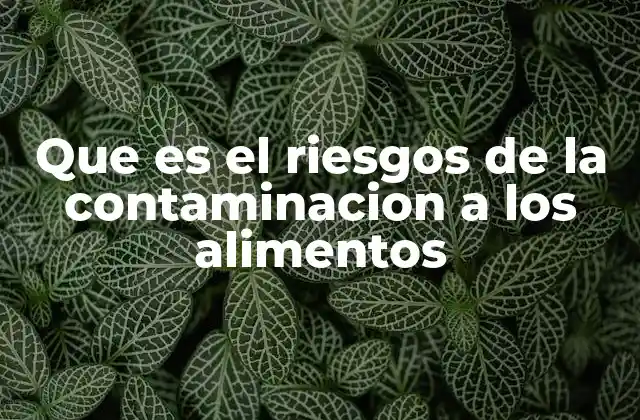 Factores que favorecen la contaminación de los alimentos