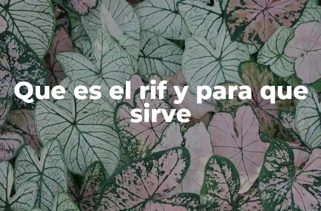 Que es el Rif y para que Sirve