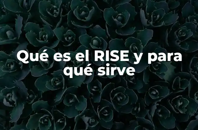 Qué es el Rise y para Qué Sirve