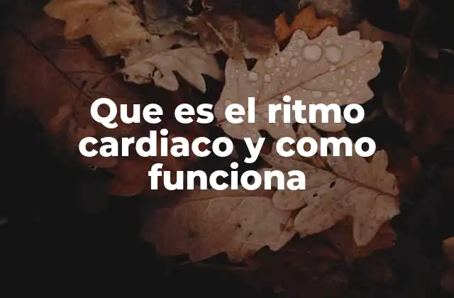 Que es el Ritmo Cardiaco y como Funciona