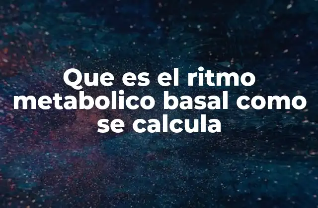 Que es el Ritmo Metabolico Basal como Se Calcula