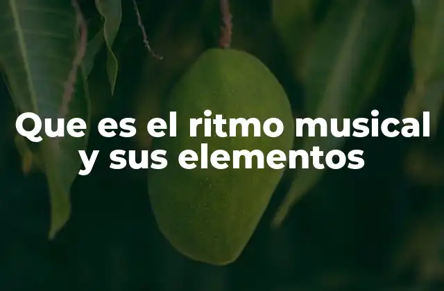 La base del sonido estructurado