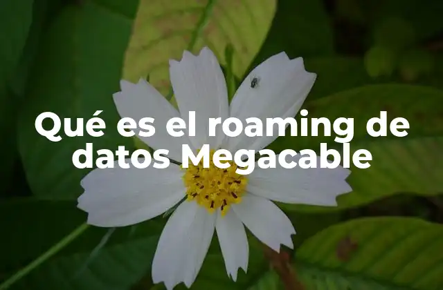 Qué es el Roaming de Datos Megacable