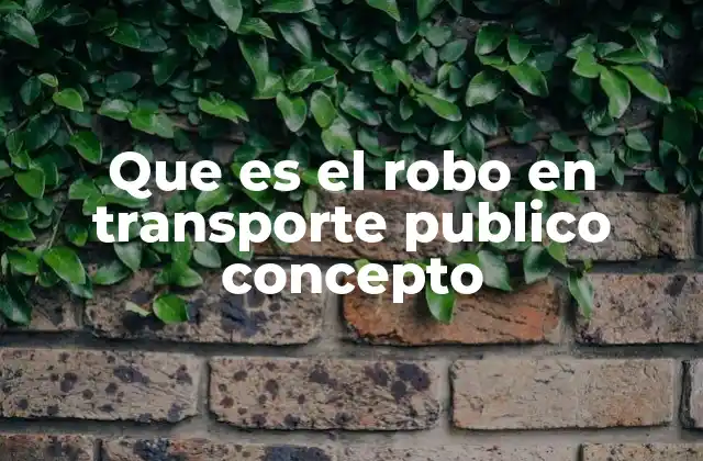 Que es el Robo en Transporte Publico Concepto