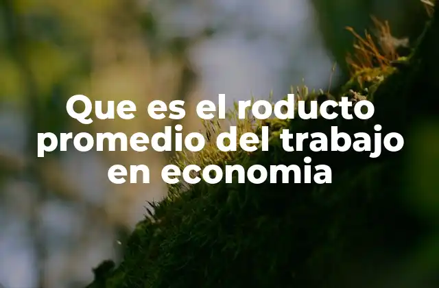 Que es el Roducto Promedio Del Trabajo en Economia