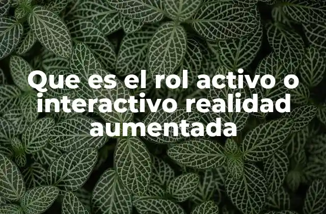 Que es el Rol Activo o Interactivo Realidad Aumentada