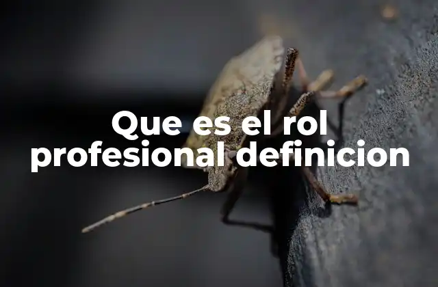 El rol profesional y su impacto en el desarrollo personal