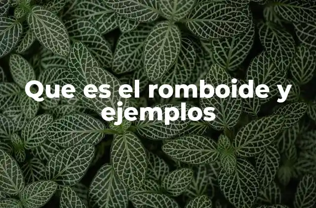 Que es el Romboide y Ejemplos