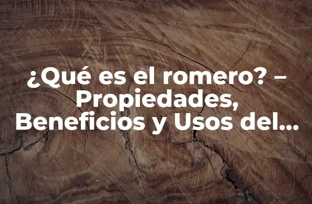 ¿qué es el Romero? – Propiedades, Beneficios y Usos Del Romero