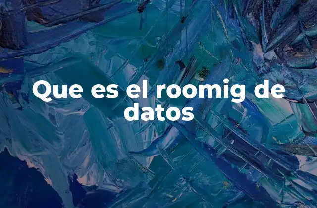 Que es el Roomig de Datos