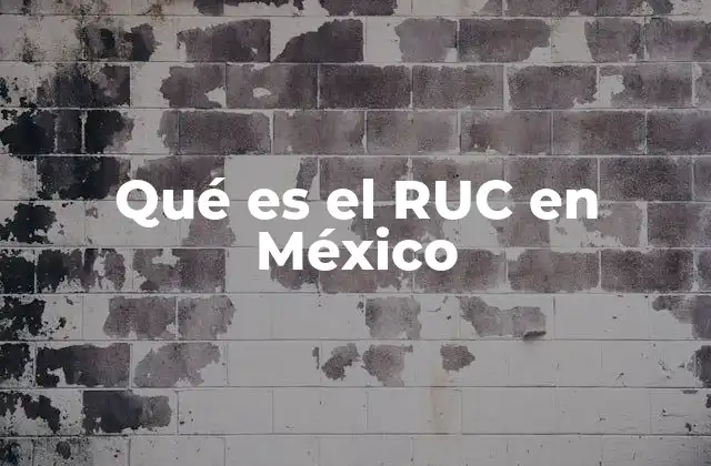 Qué es el Ruc en México 2 La importancia del Registro Único de Contribuyentes