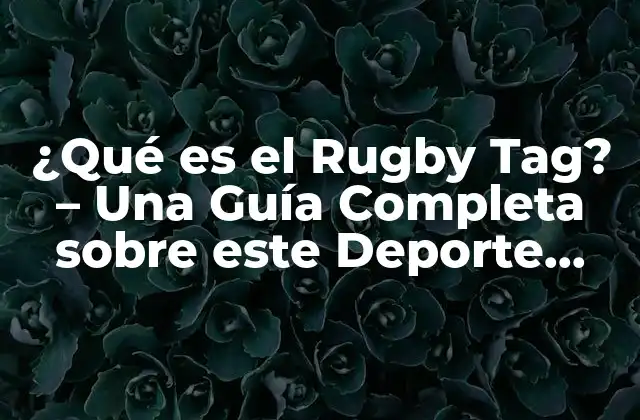 ¿qué es el Rugby Tag? – una Guía Completa sobre Este Deporte Emocionante