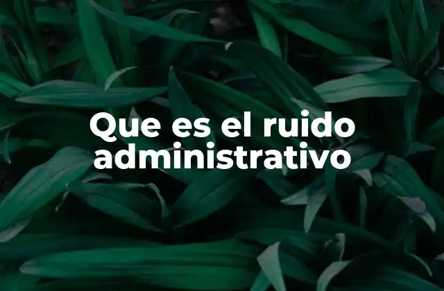 Que es el Ruido Administrativo