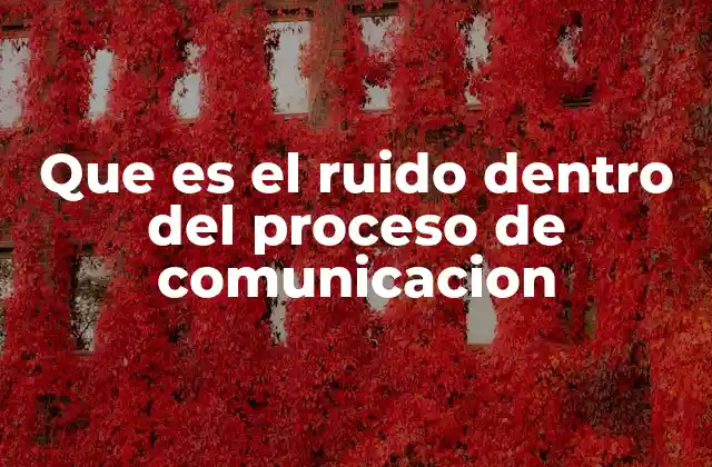 Que es el Ruido Dentro Del Proceso de Comunicacion