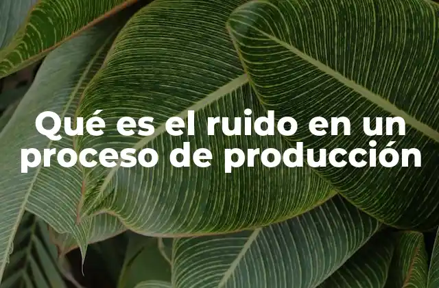 Qué es el Ruido en un Proceso de Producción
